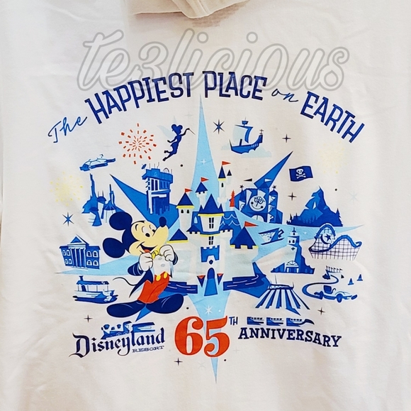 DISNEYLAND 65TH ANNIVERSARY ZIP FRONT HOODIE - Picture 2 of 5